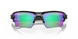 Окуляри Oakley Flak 2.0 XL Polished Black/Prizm Golf (OAK 9188.05)