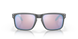Окуляри Oakley Holbrook, Steel/Prizm Snow Sapphire (OAK 9102.U555)