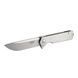 Ніж складаний Ganzo Firebird FH12SS, Silver (GNZ FH12SS)