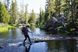 Треккинговые палки Black Diamond Trail Sport, 140 см, Granite (BD 1125491007ALL1)