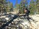 Треккинговые палки Black Diamond Trail Sport, 140 см, Granite (BD 1125491007ALL1)
