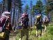 Треккинговые палки Black Diamond Trail Sport, 140 см, Granite (BD 1125491007ALL1)