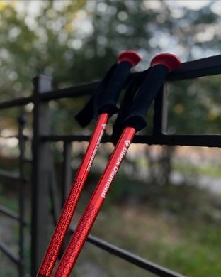 Треккинговые палки Black Diamond Trail Sport, 140 см, Granite (BD 1125491007ALL1)