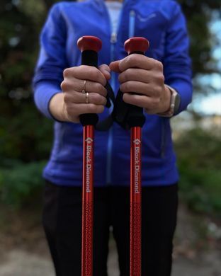 Треккинговые палки Black Diamond Trail Sport, 140 см, Granite (BD 1125491007ALL1)