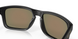 Окуляри Oakley Holbrook Matte Black/Prizm Ruby (OAK 9102.E255)