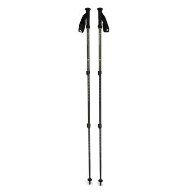 Треккинговые телескопические палки Black Diamond Trekking Explorer 3, Tundra (BD 1125513010ALL1)