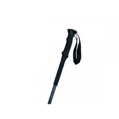 Трекінгові телескопічні палки Pinguin Tour Long FL Foam, 91-160 см, Blue (PNG 644)