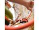 Спусковое устройство Petzl Neox, Black (PTZL D016AA02)