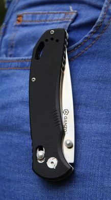 Нож складной Ganzo G7531, Black (6955800403183)