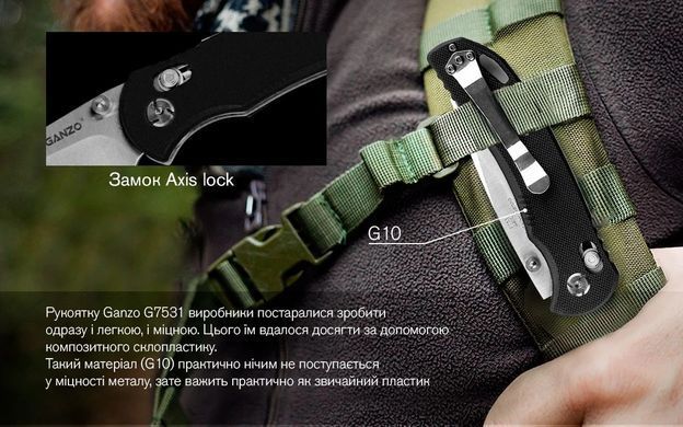 Нож складной Ganzo G7531, Black (6955800403183)