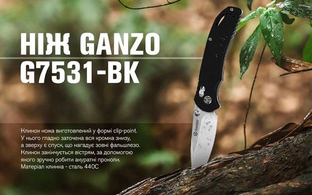 Нож складной Ganzo G7531, Black (6955800403183)