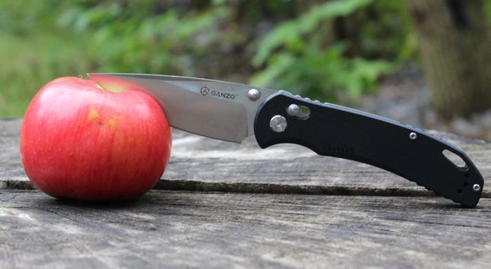 Нож складной Ganzo G7531, Black (6955800403183)