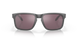 Окуляри Oakley Holbrook, Steel/ Prizm Daily Polarized (OAK 9102.B555)