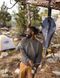 Фільтр для води LifeStraw Peak Gravity, 3 л, Dark Mountain Gray (LSW LSPSF3GRWW)