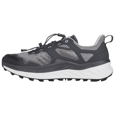 Кросівки чоловічі LOWA Fortux GTX, Black/White, 41 (4063606505382)