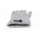 Перчатки водонепроницаемые Dexshell Techshield, Grey, XL (DS DG478TSXL)
