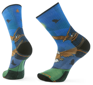 Носки мужские Smartwool Hike Targeted Cushion Eagle Print Crew, Laguna/Blue, L (SW SW002684.J96-L)