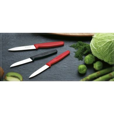 Нож для овощей Victorinox Standard Paring 5.0601 (лезвие 80мм)