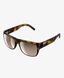 Солнцезащитные очки POC Want Tortoise Brown (PC WANT70121812BSM1)