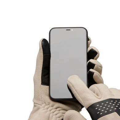 Рукавички чоловічі Black Diamond Alpine Fleece Gloves, Moonstone, S (BD 8017472018SML1)