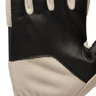 Рукавички чоловічі Black Diamond Alpine Fleece Gloves, Moonstone, S (BD 8017472018SML1)