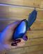 Шампунь Sea To Summit Trek & Travel Pocket Conditioning Shampoo Blue (STS ATTPCS)