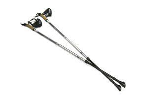 Палки для скандинавской ходьбы Silva EX-Pole Alu Adjustable, Grey (SLV 56065-000)