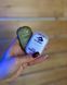 Гель для душа Sea To Summit Trek & Travel Pocket Body Wash 50 Leaf Green (STS ATTPBW)