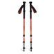 Трекинговые палки Black Diamond Trail Back, Burnt Sienna (BD 1125526044ALL1)