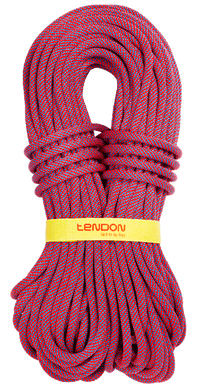 Динамічна мотузка Tendon Ambition 10.5 STD 50 м (TND D105TA41S050C)