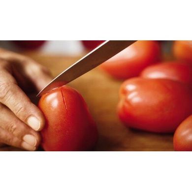 Нож для овощей Victorinox Standard Paring 5.0401 (лезвие 80мм)