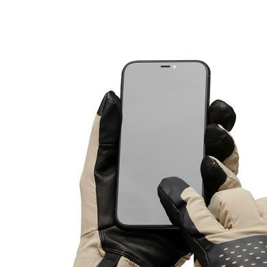 Перчатки мужские Black Diamond Alpine Softshell Gloves, Moonstone, S (BD 8017432018SML1)