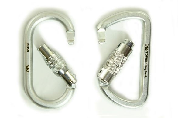 Карабін First Ascent Ovum autolock keylock 10 мм (FA 8008)