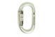 Карабін First Ascent Ovum autolock keylock 10 мм (FA 8008)