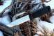 Ніж Morakniv Garberg Multi-Mount, 12642 (MRN 12642)