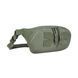 Підсумок-органайзер Tasmanian Tiger Hip Pouch, Olive (TT 8781.331)