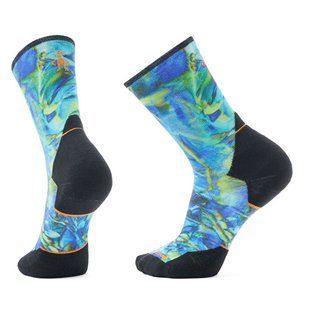 Носки мужские Smartwool Trail Run Targeted Cushion Reflections Print Crew, Capri, L (SW SW002491.810-L)