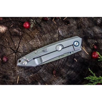 Ніж складаний Ruike P831-SF, Silver (6942870370576)