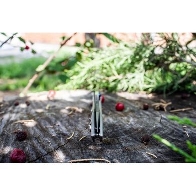 Ніж складаний Ruike P831-SF, Silver (6942870370576)