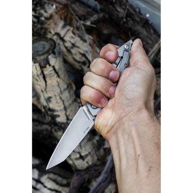 Ніж складаний Ruike P831-SF, Silver (6942870370576)