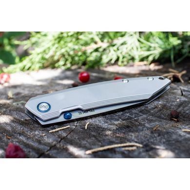 Ніж складаний Ruike P831-SF, Silver (6942870370576)