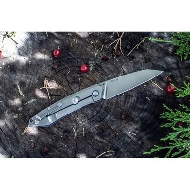 Ніж складаний Ruike P831-SF, Silver (6942870370576)