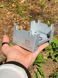 Твердопаливний пальник BaseCamp Pocket Stove з набором сухого пального, 4 таблетки (BCP 51700)