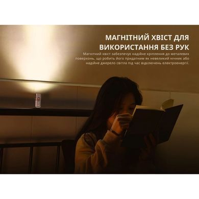 Ліхтар наключний Fenix E06R, Gray (6942870311685)