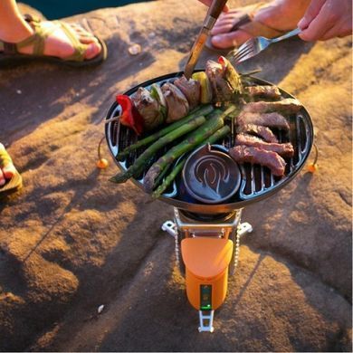 Насадка-гриль Biolite - Portable Grill Silver (BLT GRA)