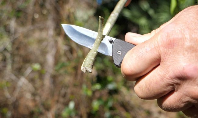 Ніж складаний Camillus Bushcrafter Mini 6.75" (CML CAM-19481)
