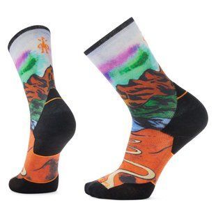 Носки мужские Smartwool Trail Run Targeted Cushion Singletrack Print, Orange Rust, XL (SW SW002267.117-XL)