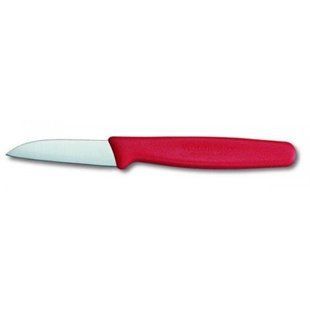 Ніж для овочів Victorinox Standard Paring 5.0301 (лезо 60мм)