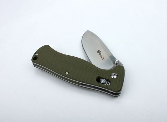 Нож складной Ganzo G720, Green (GNZ G720-G)