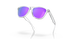 Очки Oakley Frogskin, Polished Clear/Prizm Violet (OAK 9013-H755)